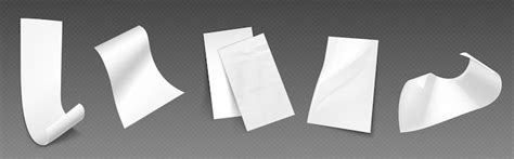 Paper roll mockup Vectors - Download Free High-Quality Vectors from ...