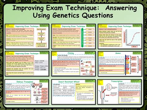 Image result for USMLE Genetics Questions