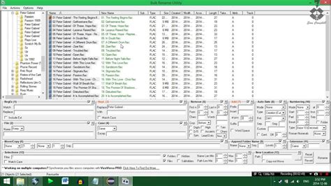 Image result for Bulk Rename Utility Regex.replace