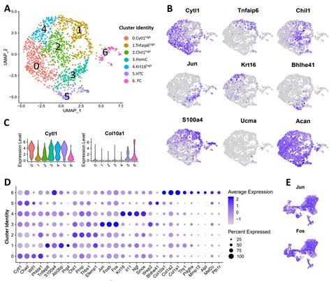 Single-Cell RNA-Seq Reveals Transcriptomic Heterogeneity and Post ...