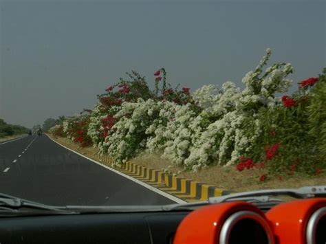 Birth of the Evil Twins - From Delhi to Mumbai - Team-BHP