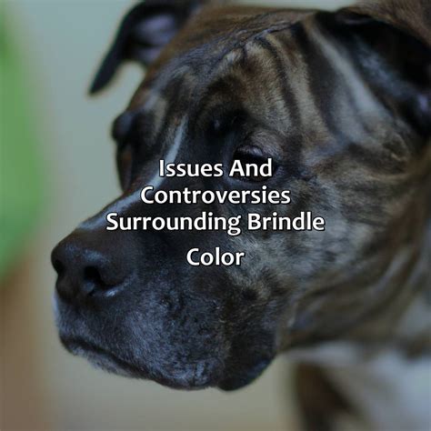What Is A Brindle Color at Clifford Ward blog