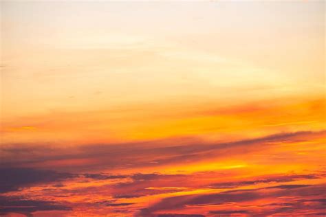 Image result for Reflective Essay Conclusion Example