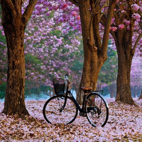 Click/tap to enlarge Background Background Aesthetic