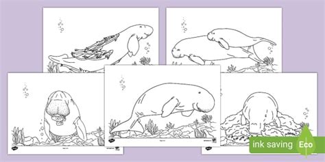 Dugong Colouring Pages