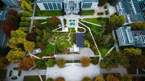 Undergraduate Political Science Programs (BA) | UBC Political Science