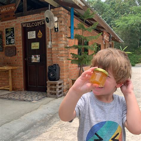 Tasbee Meliponiculture Farm (Tutong) - All You Need to Know BEFORE You Go