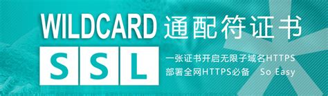 VeriSign SSL 的图像结果