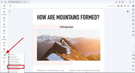 Guide to the Digital Signature Timestamp: Its Value and How to Add It