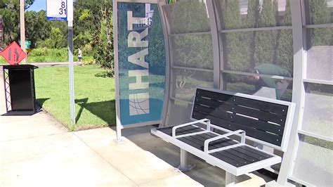 HART unveils new bus shelters | FOX 13 Tampa Bay