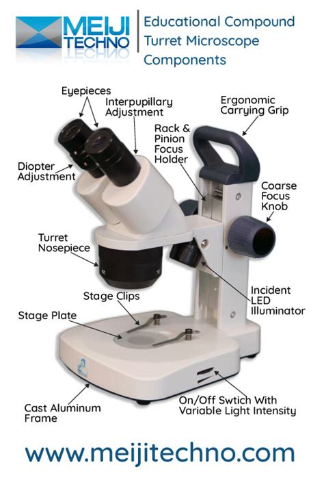 Microscope Terminology 的图像结果