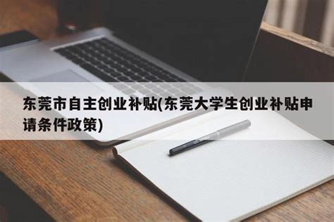 在东莞见习还能领补贴？申领指南来啦！