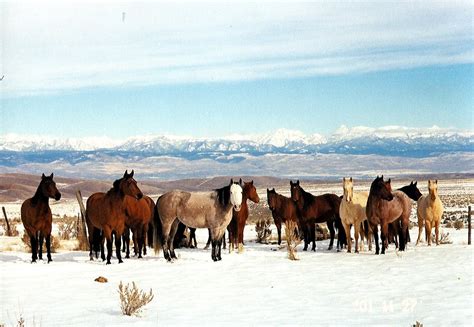 Baker City Tourism: All You Need to Know Before You Go (2026)