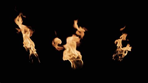 Image result for Fire Vocoder