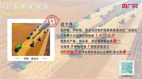 “中国这十年·黑龙江”宣传报道精品案例展播_新浪黑龙江_新浪网