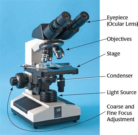 Image result for Video Microscope Play
