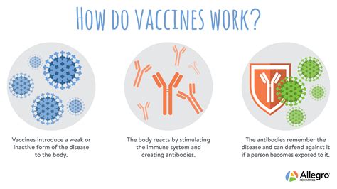 Immunization Myths | Allegro Pediatrics