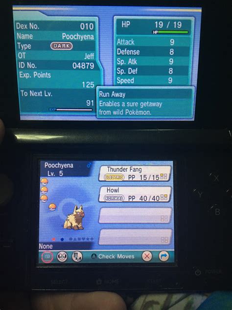 Image result for Shiny Hunting Omega Ruby