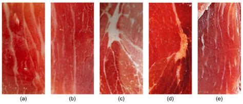 Characterization of Aroma-Active Compounds in Five Dry-Cured Hams Based ...