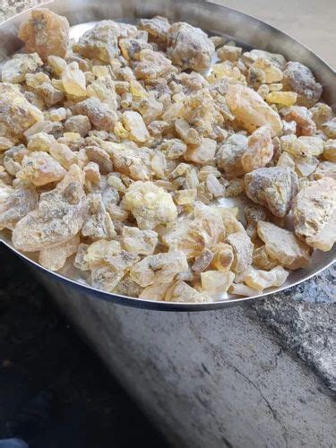 Gum Copal - Gum Copal Pws Trader - Wholesaler / Distributor from Mumbai