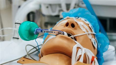 Image result for Neocortex Disorders