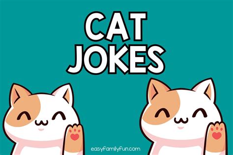 Image result for Cat Command in Shell Script