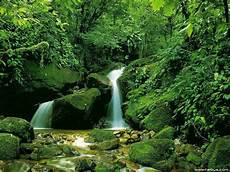 Nature Wallpaper Waterfall by Japan Beautiful Nature Waterfall Wallpapers For Free Nature Wallpaper Waterfall