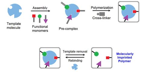 Mar MIP Tutorial 的图像结果