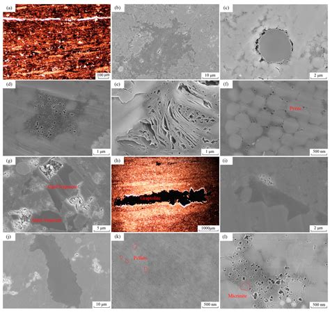 The Enrichment of Uranium in Marine Organic-Rich Overmature Shales ...