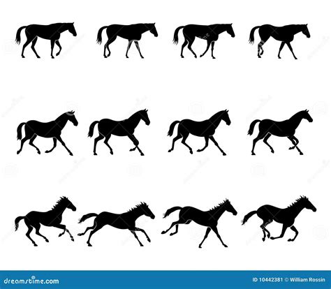 Horse gaits stock vector. Illustration of mammal, black - 10442381