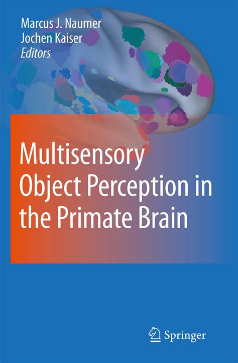 Multisensory Object Perception in the Primate Brain eBook : Naumer ...