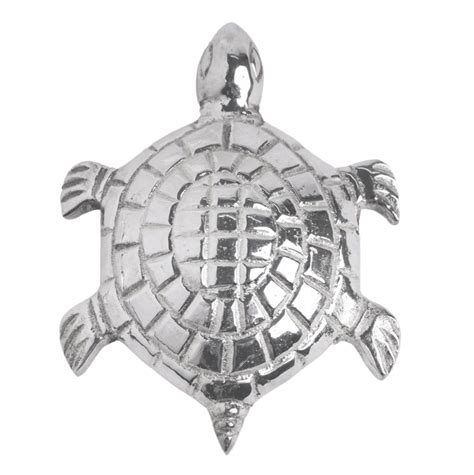 The Silver Plated Tortoise – La Plata