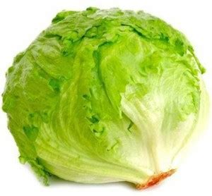Nodoc Lettuce Ice burg Seed Price in India - Buy Nodoc Lettuce Ice burg ...