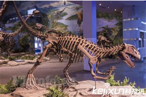 考古学家发现怀孕恐龙化石 有望实现恐龙复活?-搜狐