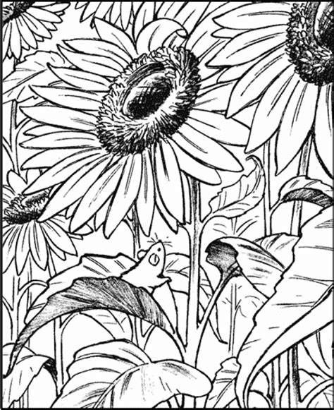 Printable Worksheet: Adult Coloring- 2 - Art and Craft for Class 7 PDF ...