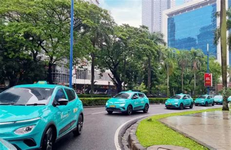 VinGroup’s GSM to enter India’s ride-hailing market with VinFast cars ...