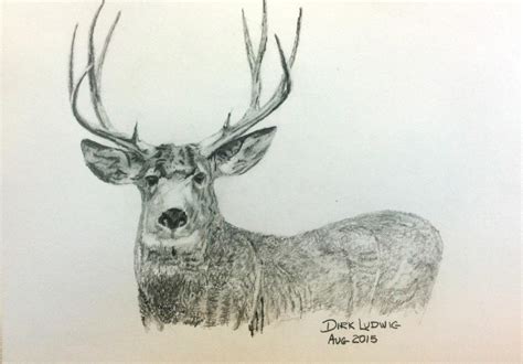 Image result for Buck Drawing Tutorial