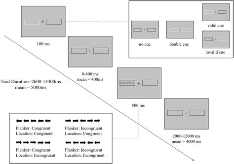 Frontiers | Unified and distinct cognitive control deficits in ...