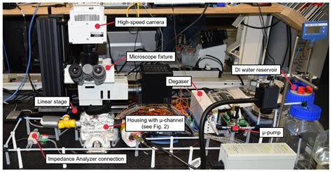 Computer-Vision- and Deep-Learning-Based Determination of Flow Regimes ...