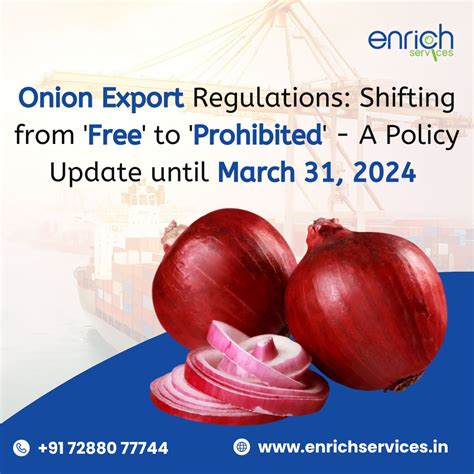 Onion Export Regulations: Shifting from 'Free' to 'Prohibited' - A ...