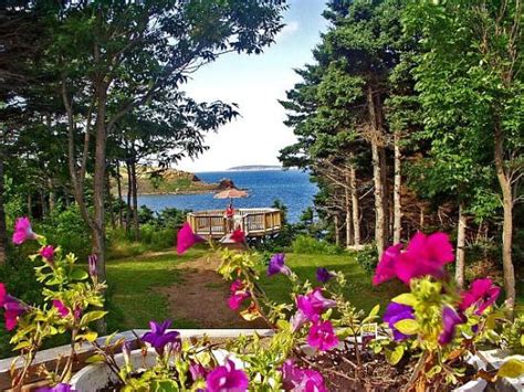 CHIMNEY CORNER COASTAL COTTAGES (Margaree Harbour, Cape Breton Island ...