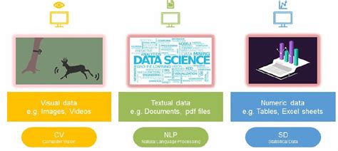 Data Literacy Chapter Notes - Artificial Intelligence (AI) for Class 9 ...