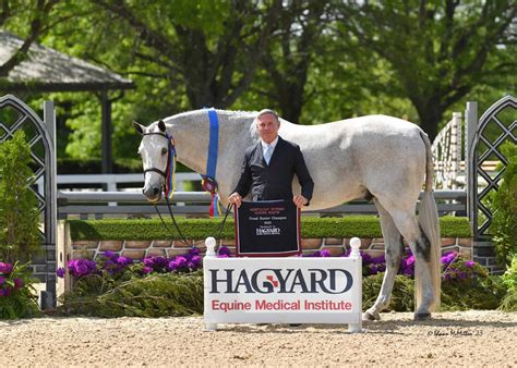 A Three Way Tie for the Coveted Grand Hunter Champion Award, Sponsored ...