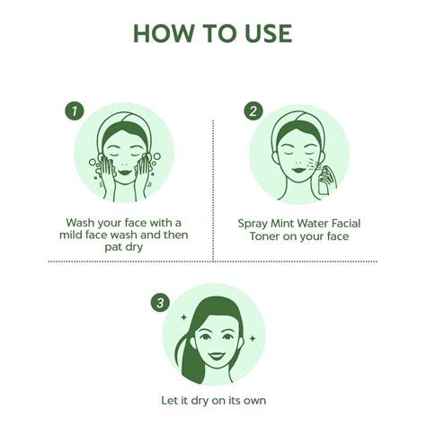 Buy INDUS VALLEY NATURAL MINT WATER FACIAL TONER - CHEMICAL FREE - 250 ...