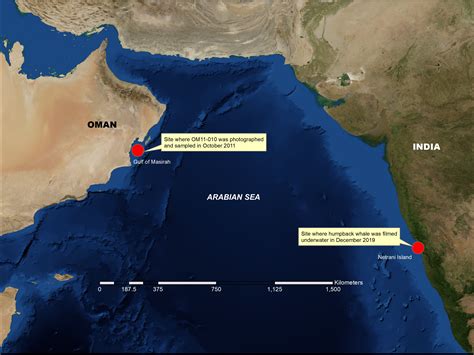 Arabian Sea Location On India Map - EMSEKFLOL.COM