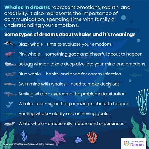 Dreaming of Whales - 50+ Types of Dreams and Their Meanings