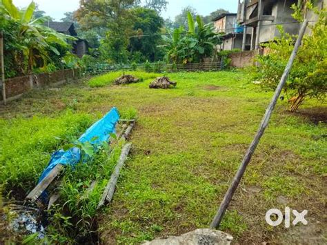 Near Baragolai VKV School Myadhi Patta land/ - Lands & Plots - 1821802842