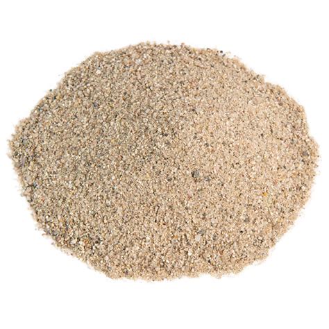 Image result for Sand Lizard