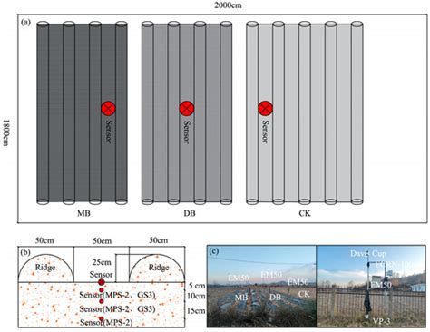 Effect of Plastic Membrane and Geotextile Cloth Mulching on Soil ...