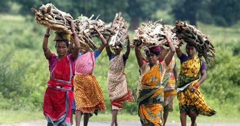 India’s draft National Forest Policy ignores women – the guardians of ...